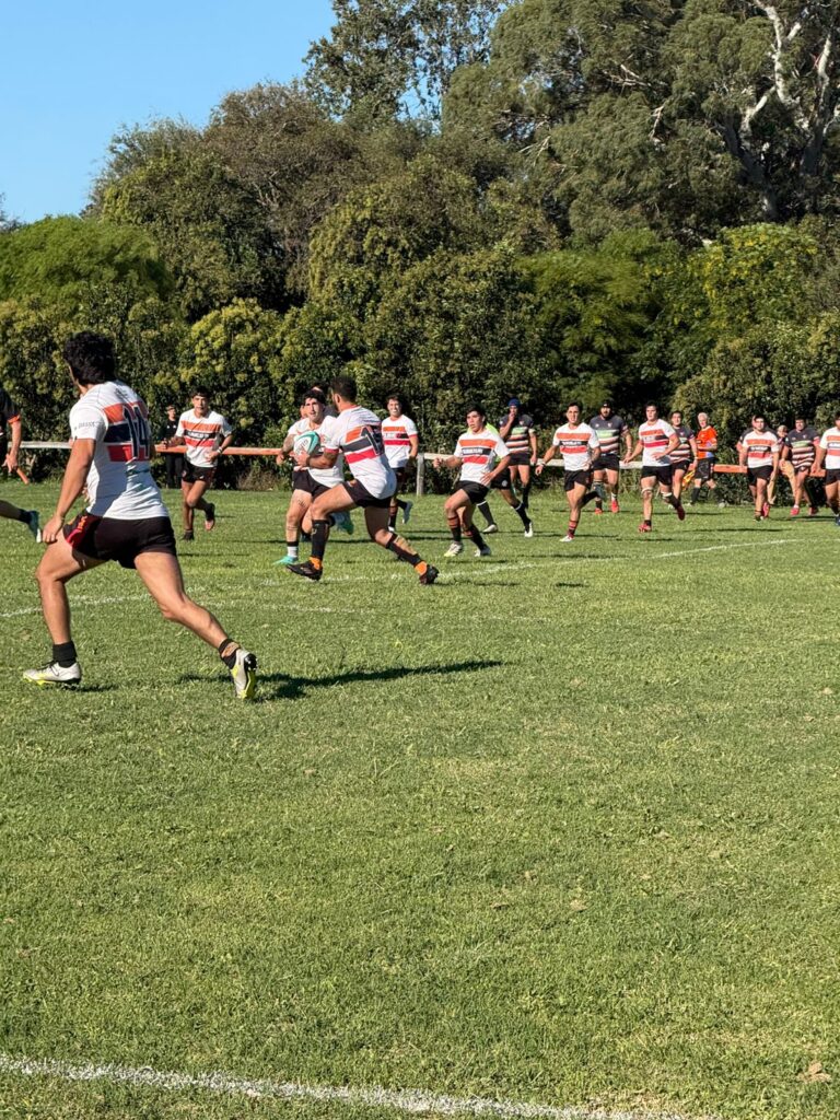 WhatsApp Image 2026-03-22 at 11.47.45